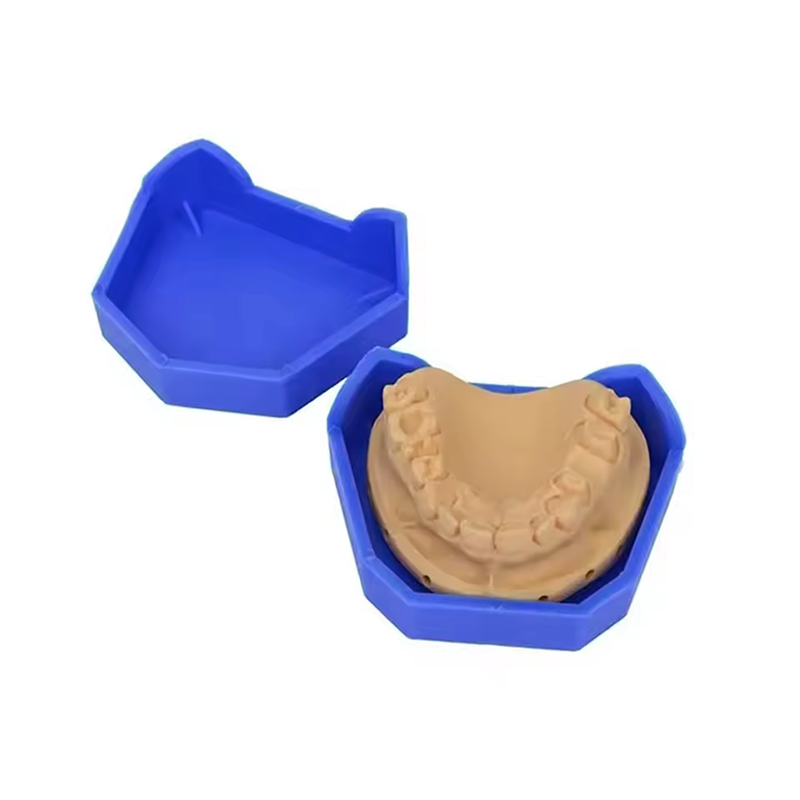 Base de modelo Dental, Base de - Teeth Whitening Trays reseña y precio