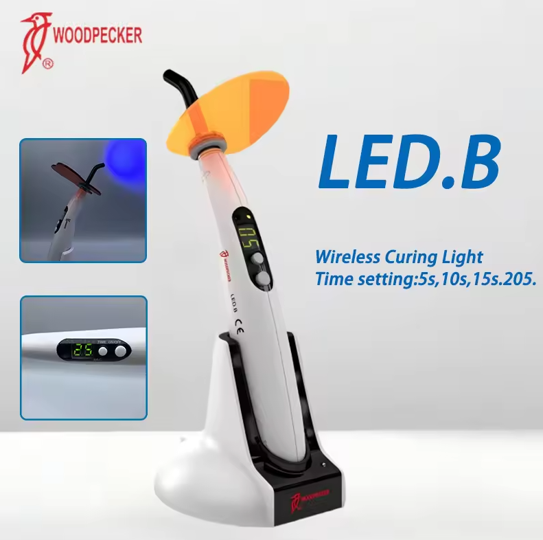 Luz de curado Dental pájaro ca - Teeth Whitening Led reseña y precio