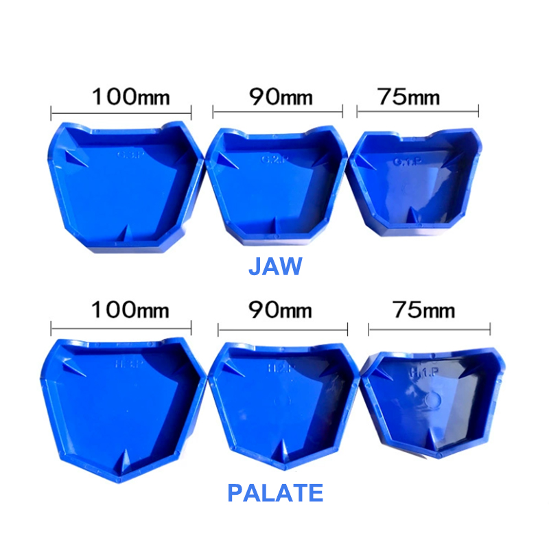 Juego de Base de modelo Dental - Teeth Whitening Trays reseña y precio