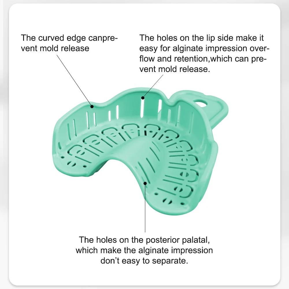 6 Piezas de Bandejas para Impl - Teeth Whitening Trays reseña y precio